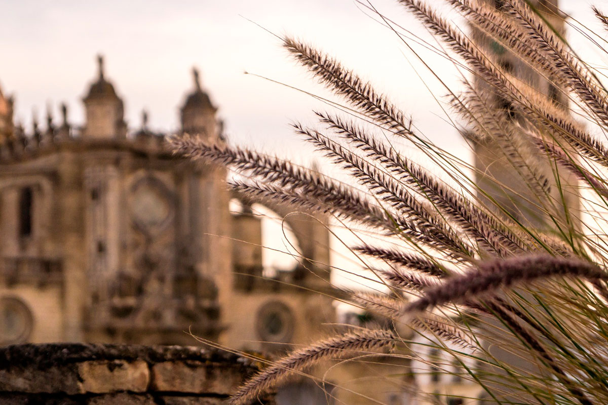 Catedral de Jerez