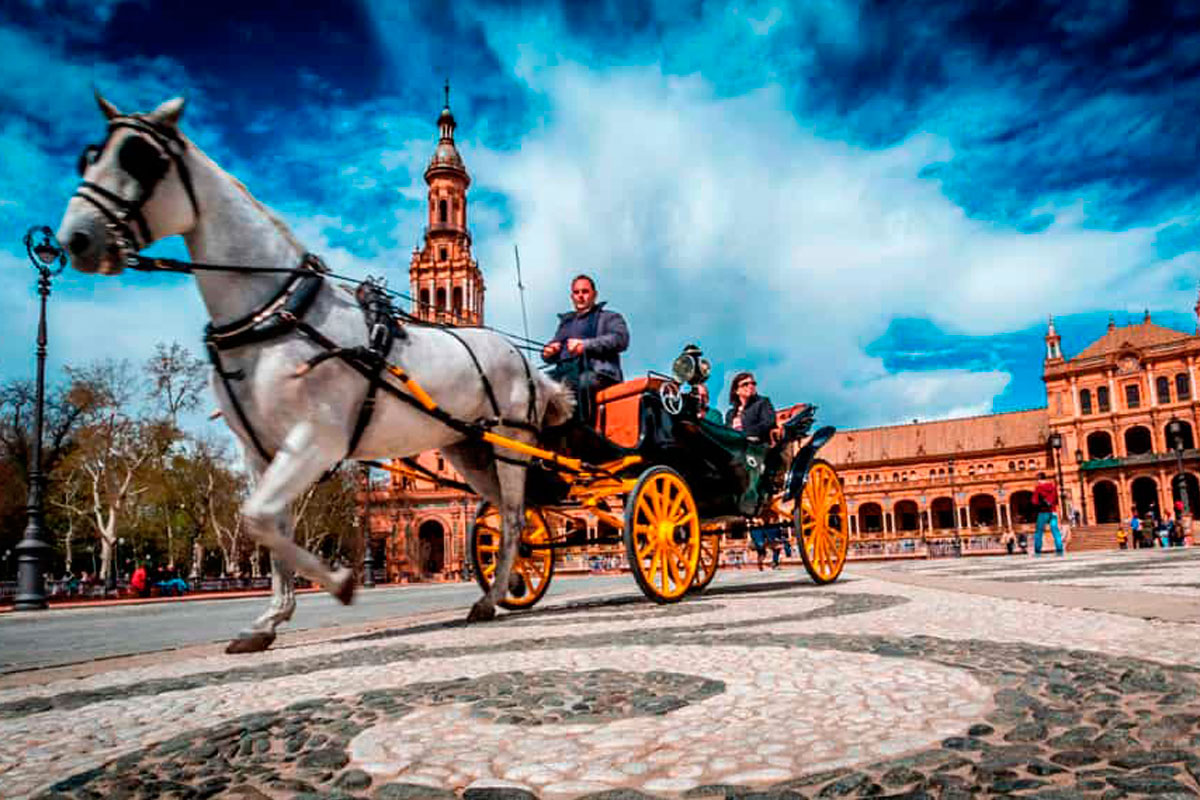 Alquiler de coches en Sevilla